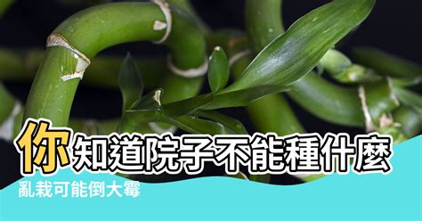 家裡不能種什麼樹|種樹也有風水，你知道院子不能種什麼樹